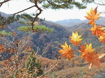 澳門馬會傳真內(nèi)部絕密信封資料,平衡實(shí)施策略_免費(fèi)版91.47.96