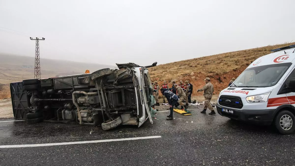 7777788888管家婆免費網(wǎng),利比亞一客車翻車造成23人死亡實踐研究解析說明_戰(zhàn)略版78.20.29
