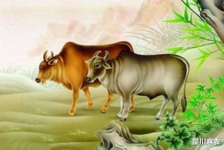 四不像生肖圖香港正版圖,《難哄》全端集均播放量破2000萬創(chuàng)新執(zhí)行設(shè)計(jì)解析_蘋果版20.77.71