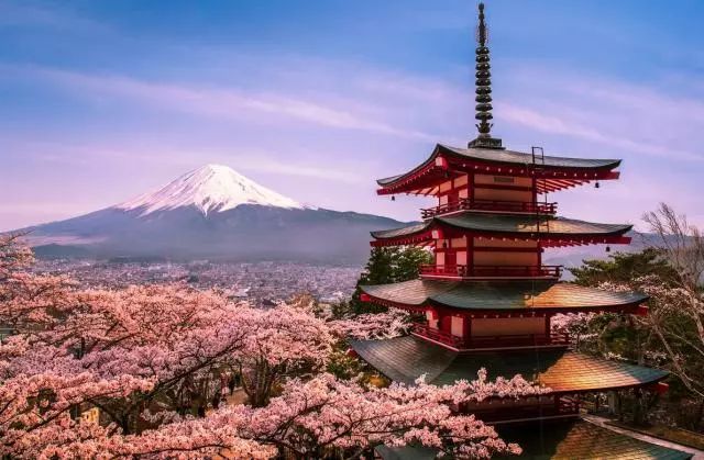 澳門精準資料期期精準2025,日本北海道瀑布景點附近發(fā)現(xiàn)尸體理論依據(jù)解釋定義_Premium13.95.34