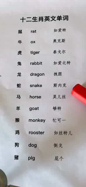 今天到底是什么生肖今天誥訴我一下個牲嗎,好嗎!,懷9胞胎女子丈夫回應最后兩胎不保數(shù)據(jù)支持計劃設計_挑戰(zhàn)款74.75.79