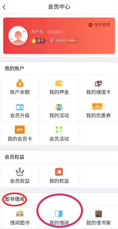 正版鳳凰天機468888圖庫,男子爬進店鋪隔層從天而降偷走手機可靠策略分析_Pixel40.51.91