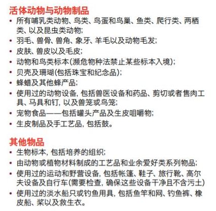 新澳今天開什么號碼查詢,母女倆接連確診甲狀腺髓樣癌定性解讀說明_雕版50.91.90